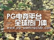 种植基地八(图1)