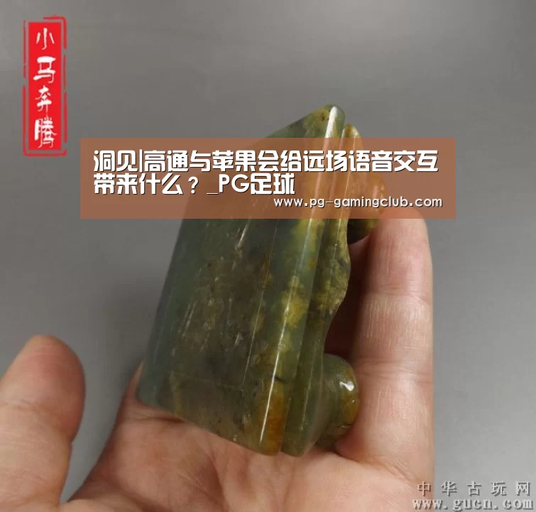 洞见|高通与苹果会给远场语音交互带来什么?_PG足球(图2) PG篮球