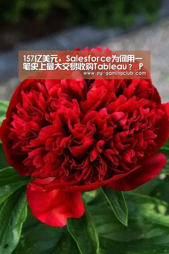 PG篮球