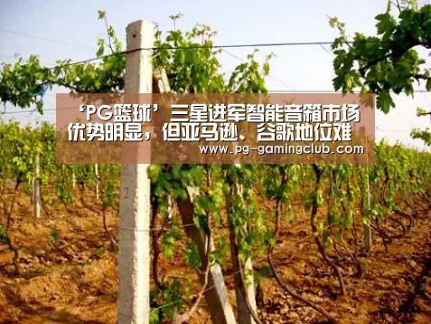 ‘PG篮球’三星进军智能音箱市场优势明显,但亚马逊、谷歌地位难以撼动(图1) PG竞猜