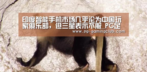 印度智能手机市场几乎沦为中国玩家俱乐部,但三星表示不服_PG足球(图1) PG体育
