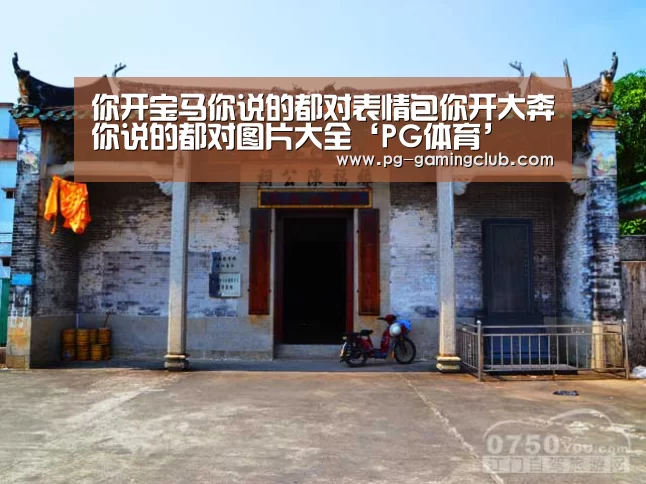 PG篮球