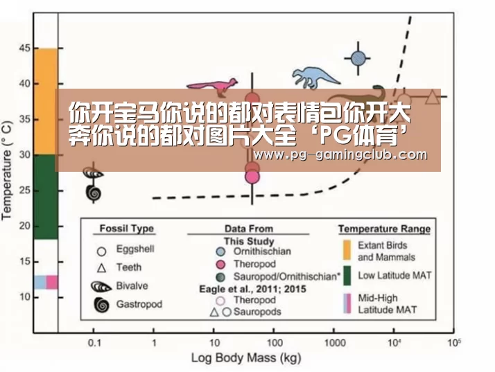 PG篮球