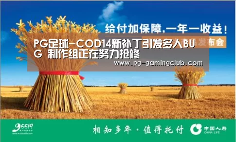 PG足球-COD14新补丁引发多人BUG 制作组正在努力抢修(图2) PG体育