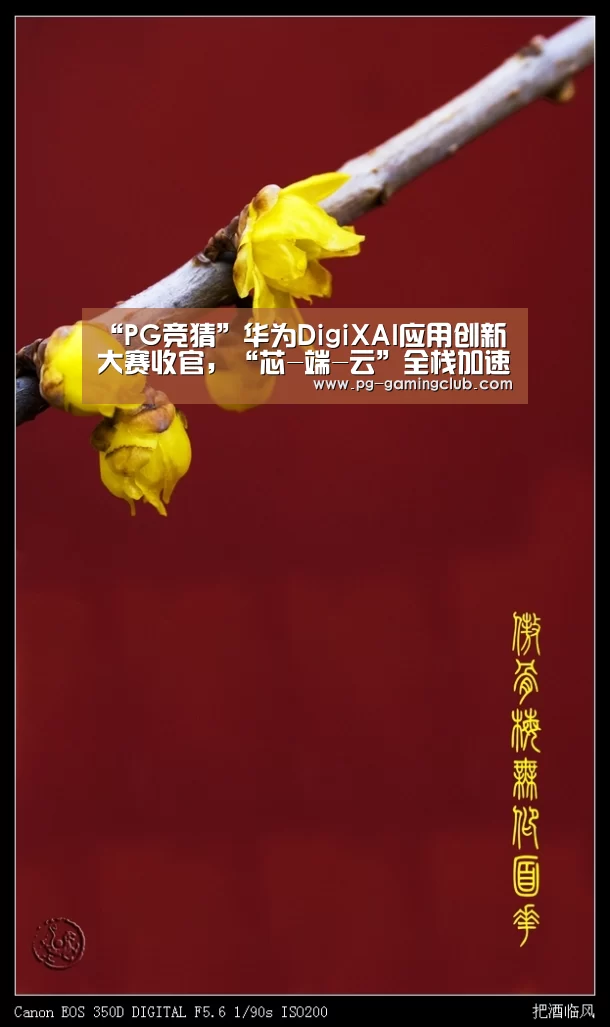 PG篮球