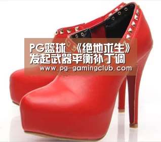 PG篮球_《绝地求生》发起武器平衡补丁调查 参与即可抽奖(图3) PG体育