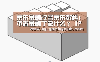 京东金融改名京东数科:不做金融了做什么?【PG足球】(图1) PG篮球