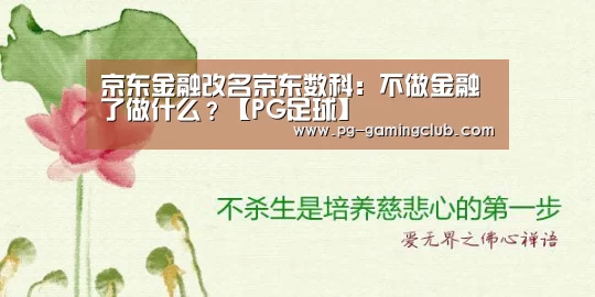 京东金融改名京东数科:不做金融了做什么?【PG足球】(图2) PG篮球